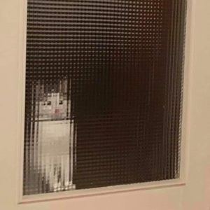 Meet your Posher, Chase